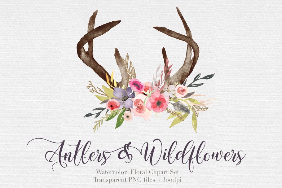 独特手绘花卉鹿角剪贴画合集 Antlers & flowers Watercolor Clipart插图(2)