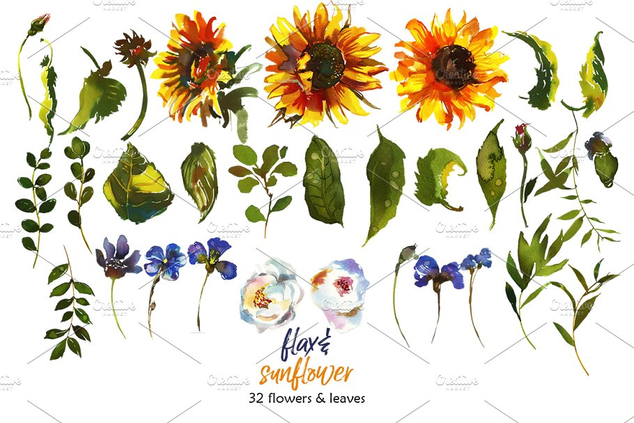 波希米亚风格向日葵亚麻花水彩剪贴画 Boho Sunflower Flax Flowers PNG插图4