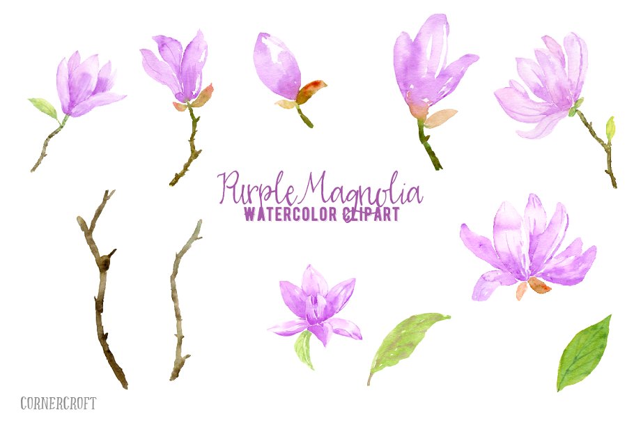 紫玛瑙色彩花卉水彩剪贴画 Watercolor Purple Magnlia插图1