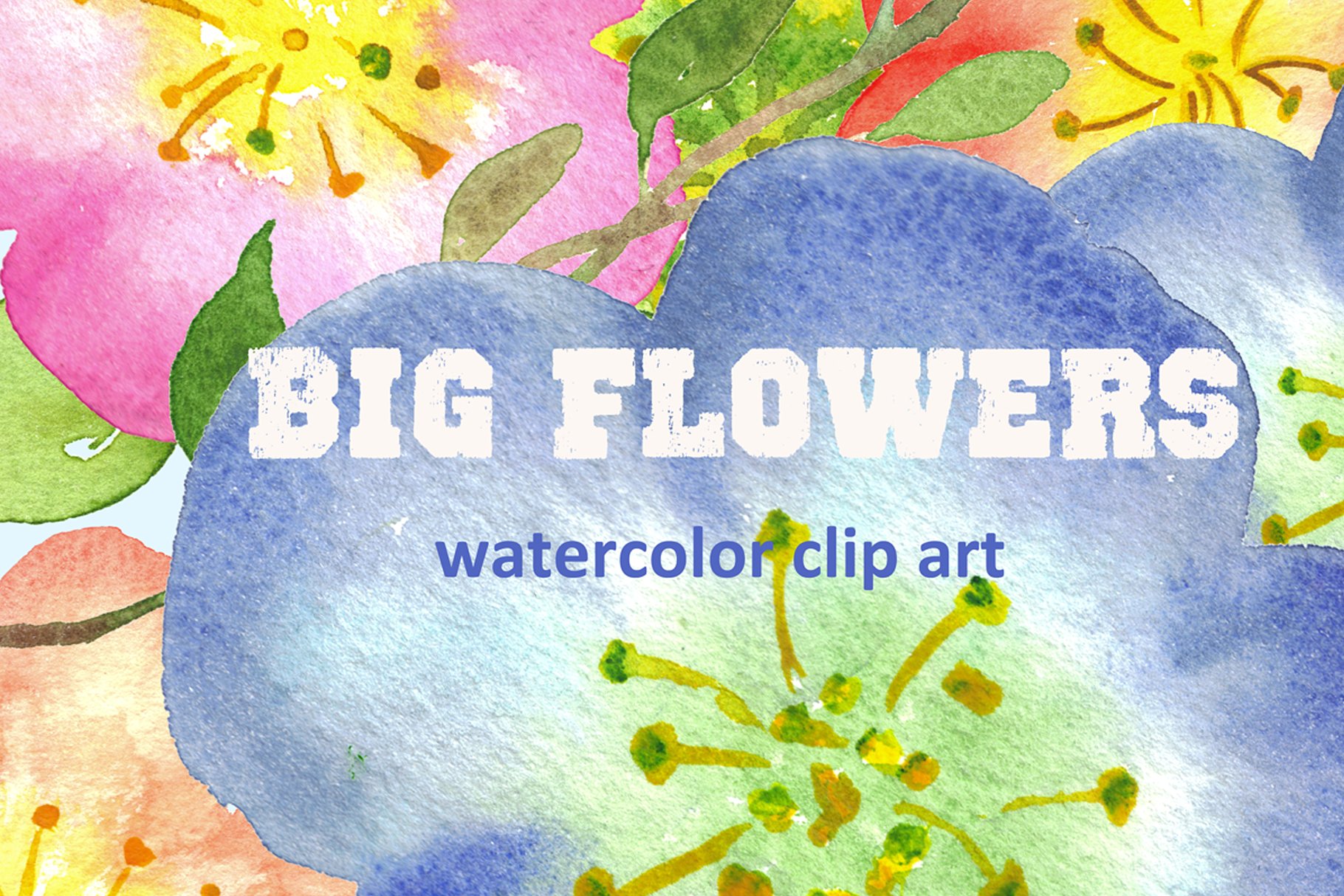 水彩手绘花卉艺术剪贴画设计素材 Big Flowers watercolor clipart插图