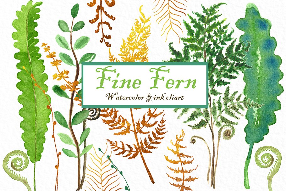 精美蕨类水彩水墨剪贴画合集 Fine ferns. watercolor clipart插图(2)