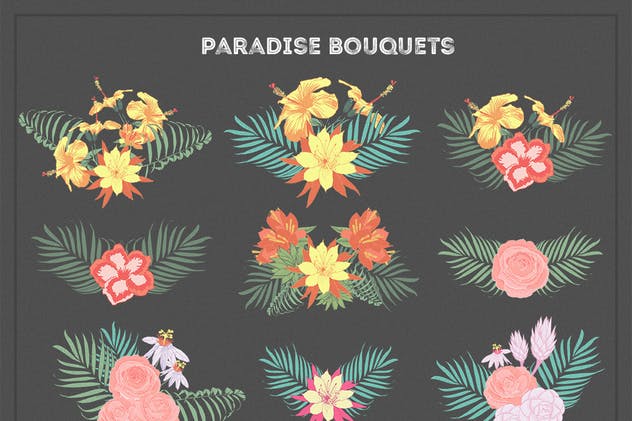 热带花卉和花束手绘插画素材 Paradise Flowers插图3