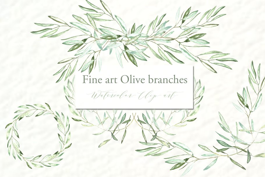 橄榄枝美术水彩剪贴画 Olive branches. Fine art Watercolor插图(1)