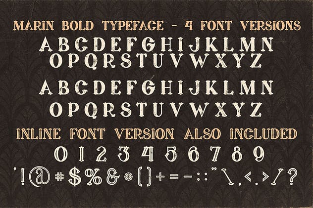 复古风格衬线英文字体合集下载 5 Fonts Bundle 4插图12