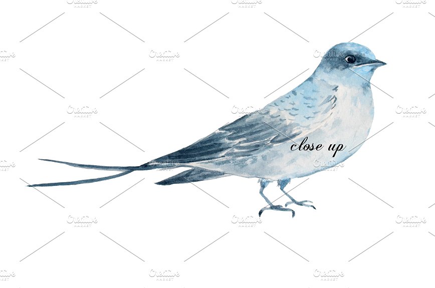 中国风艺术花卉水彩装饰剪贴画 Wedding Clipart Blue Peony Swallows插图2