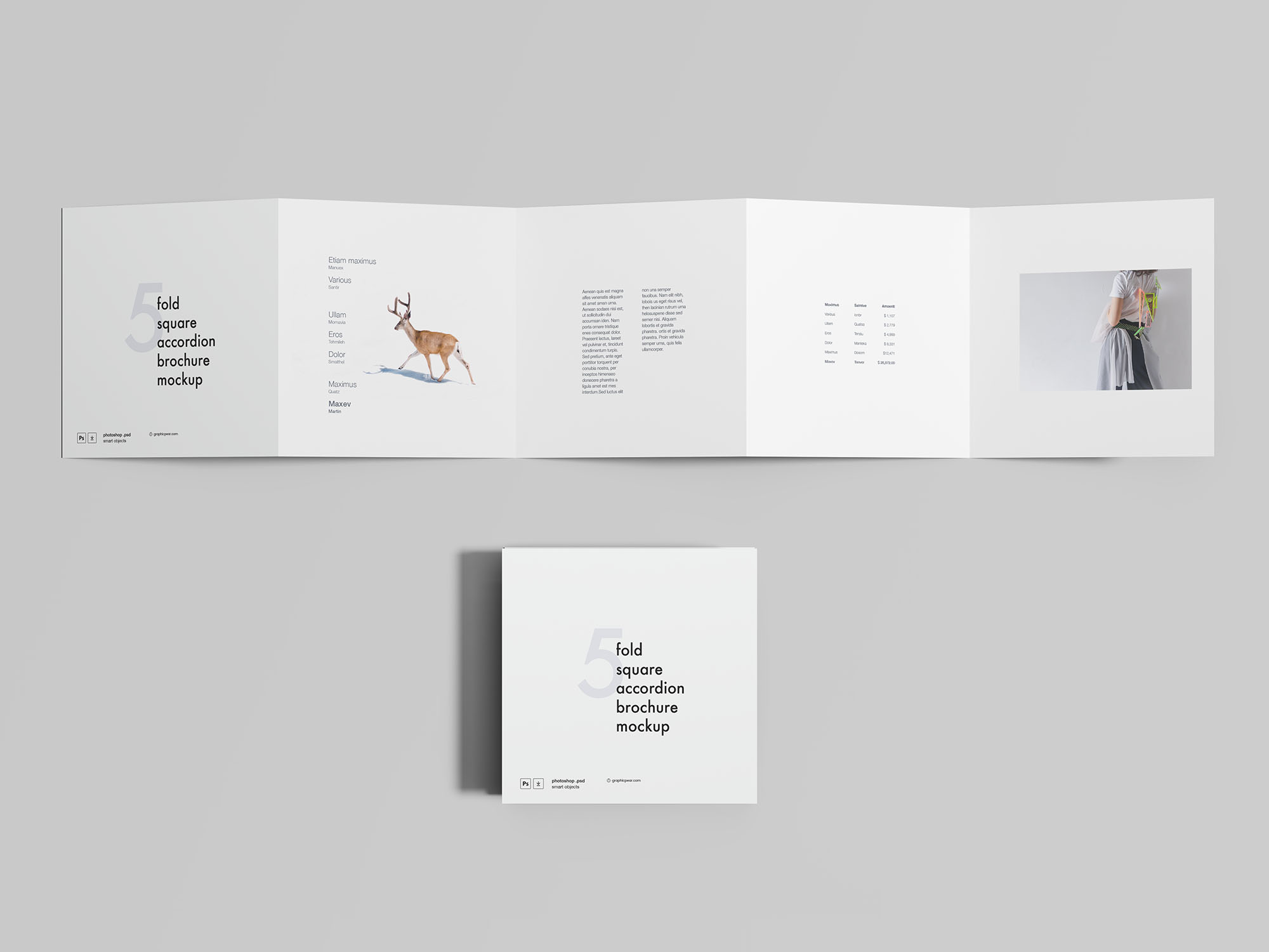 5折方形手风琴折叠式宣传册设计效果图样机 5 Fold Square Accordion Brochure Mockup插图