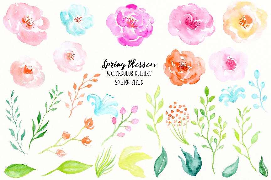 春天气息水彩花卉素材 Watercolor Spring Blossom插图1