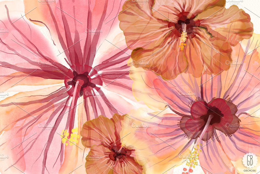 水彩芙蓉花花卉元素 Watercolor hibiscus flower monstera插图1