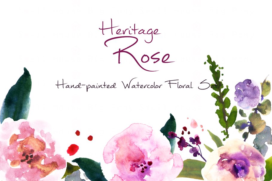 传统复古水彩玫瑰剪贴画合集 Heritage Rose- Watercolor Clip Art插图(1)
