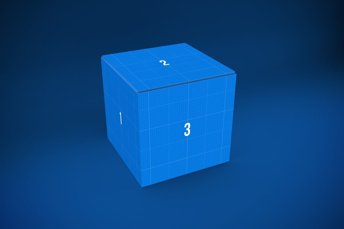 产品包装箱子外观设计多角度预览样机 Box MockUp插图(12)
