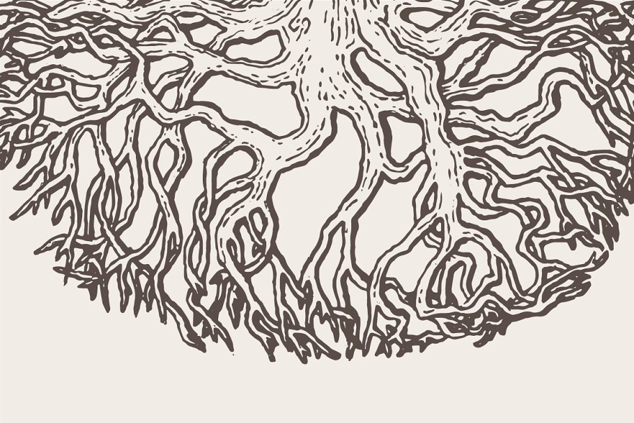 老橡树素描矢量插画 Illustration of an old oak tree插图5
