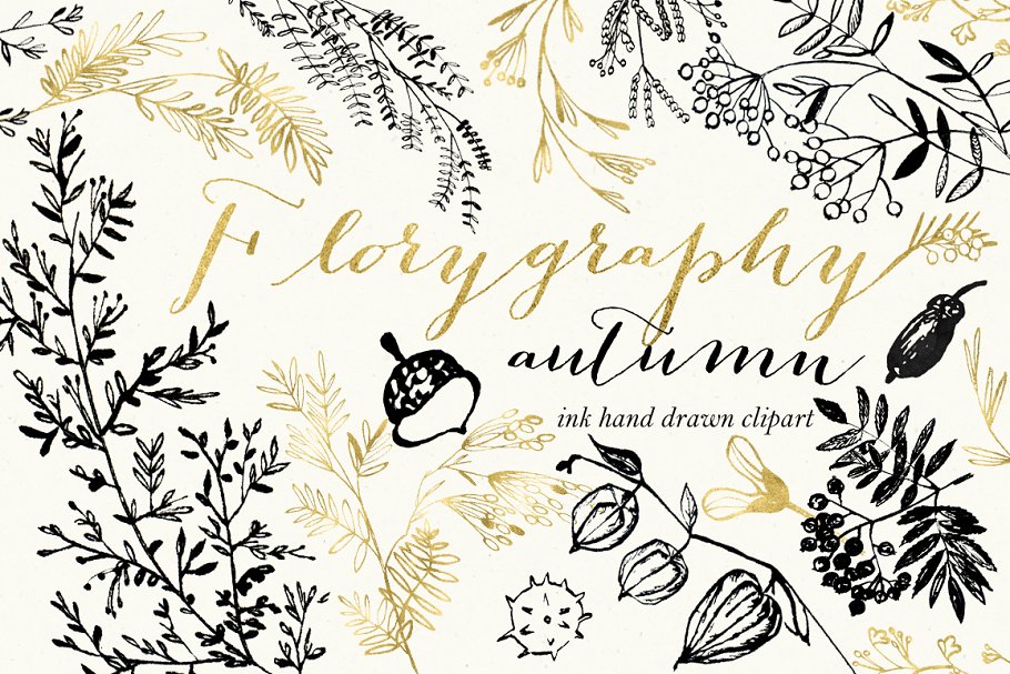 秋天风格墨水画花卉剪贴画 Florygraphy. Autumn. Ink clipart插图(1)