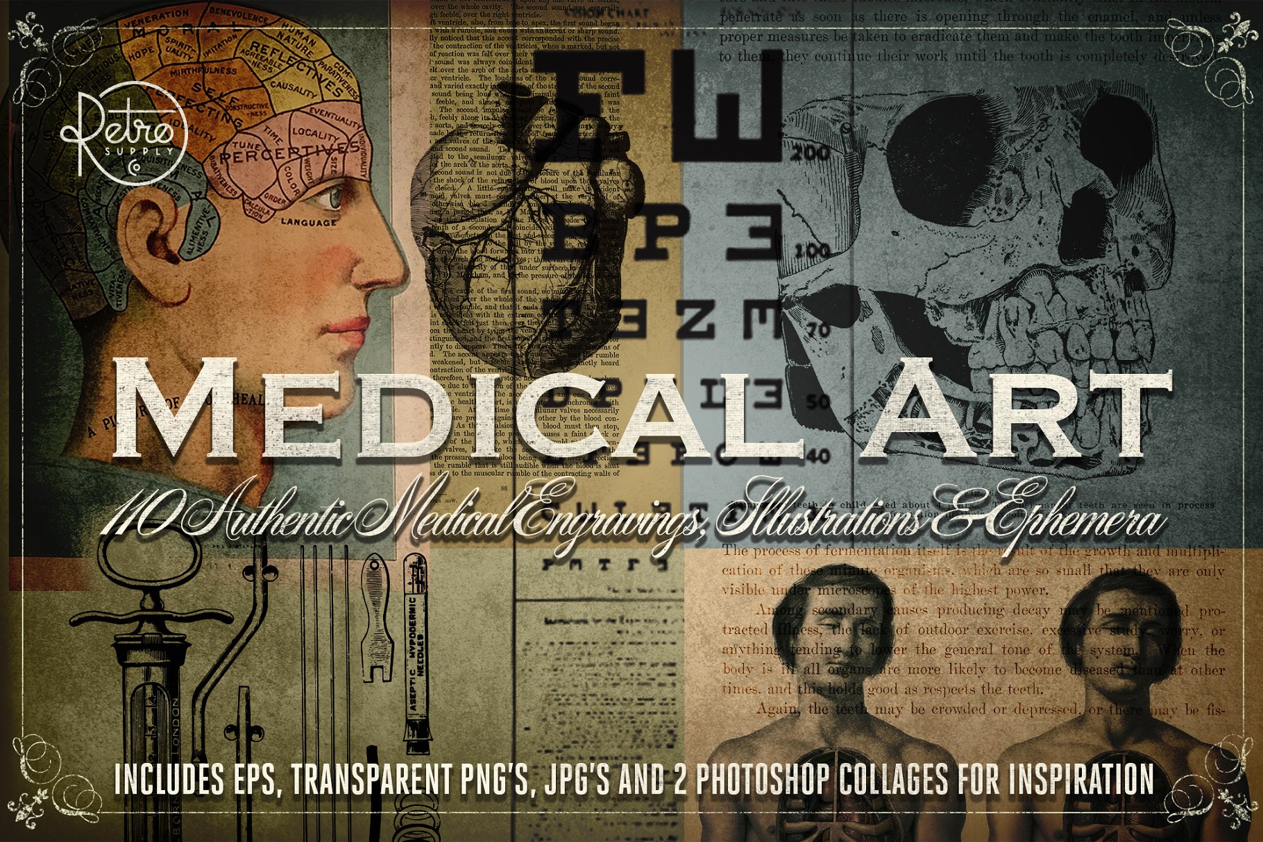 旧时代解剖医学插图素材 Medical Art | 110 EPS, PNG and JPG’s插图