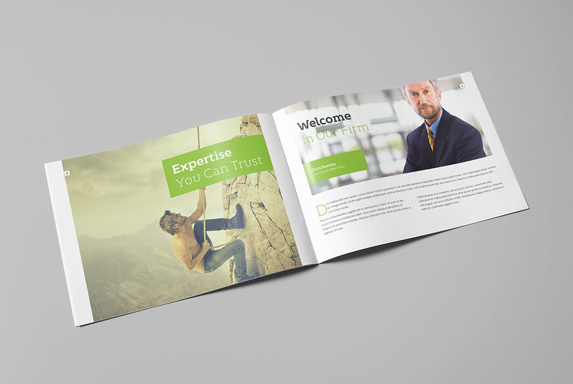 集团公司高档精装画册设计模板 Enrico Business Landscape Brochure插图1