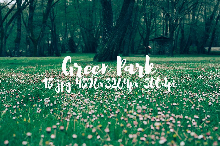 生机勃勃的公园景象高清照片素材 Green Park bundle插图(11)