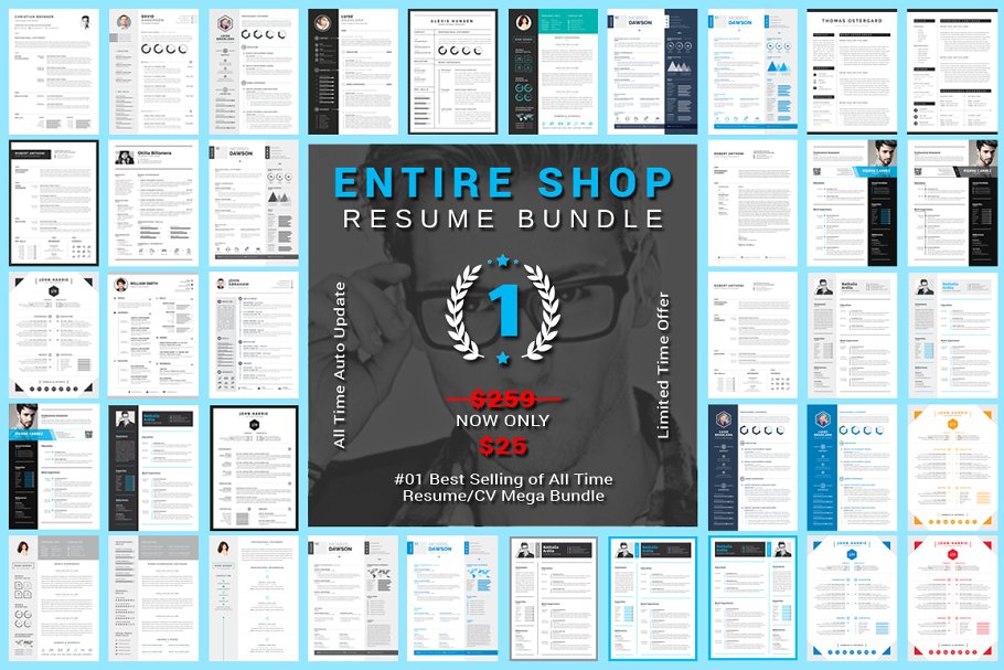 终极简历模板大合集（15款创意简历+3款信息图表模板） Entire Shop Resume/CV Mega Bundle插图