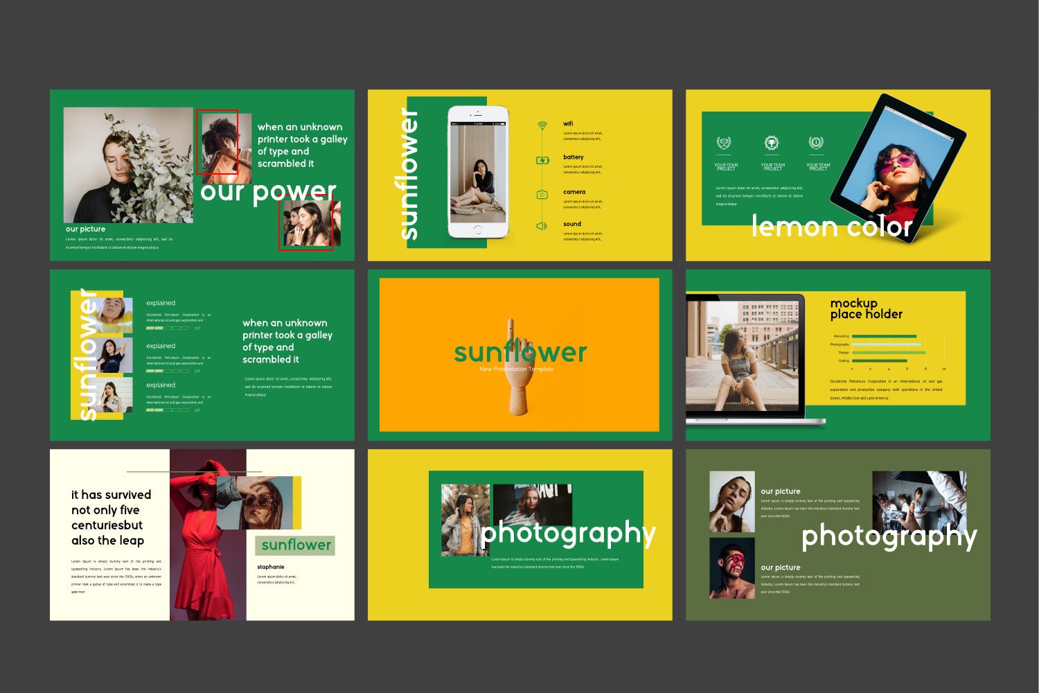 摄影工作室介绍PPT模板素材下载 Sunflowers – Powerpoint插图8