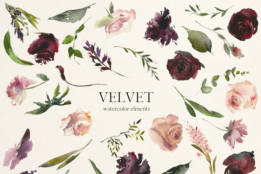 天鹅绒-水彩花卉剪贴画 Velvet – Watercolor Floral Clip Art插图5