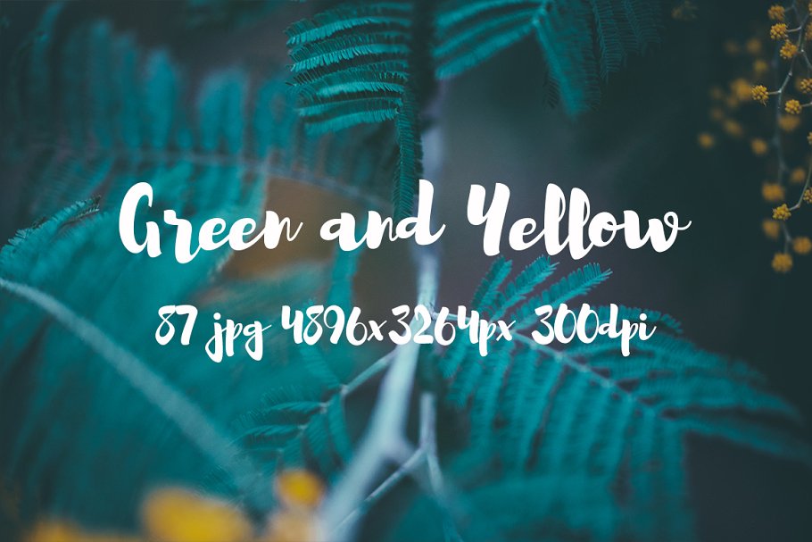 绿色和黄色植物花卉摄影照片集 Green and yellow photo pack插图3