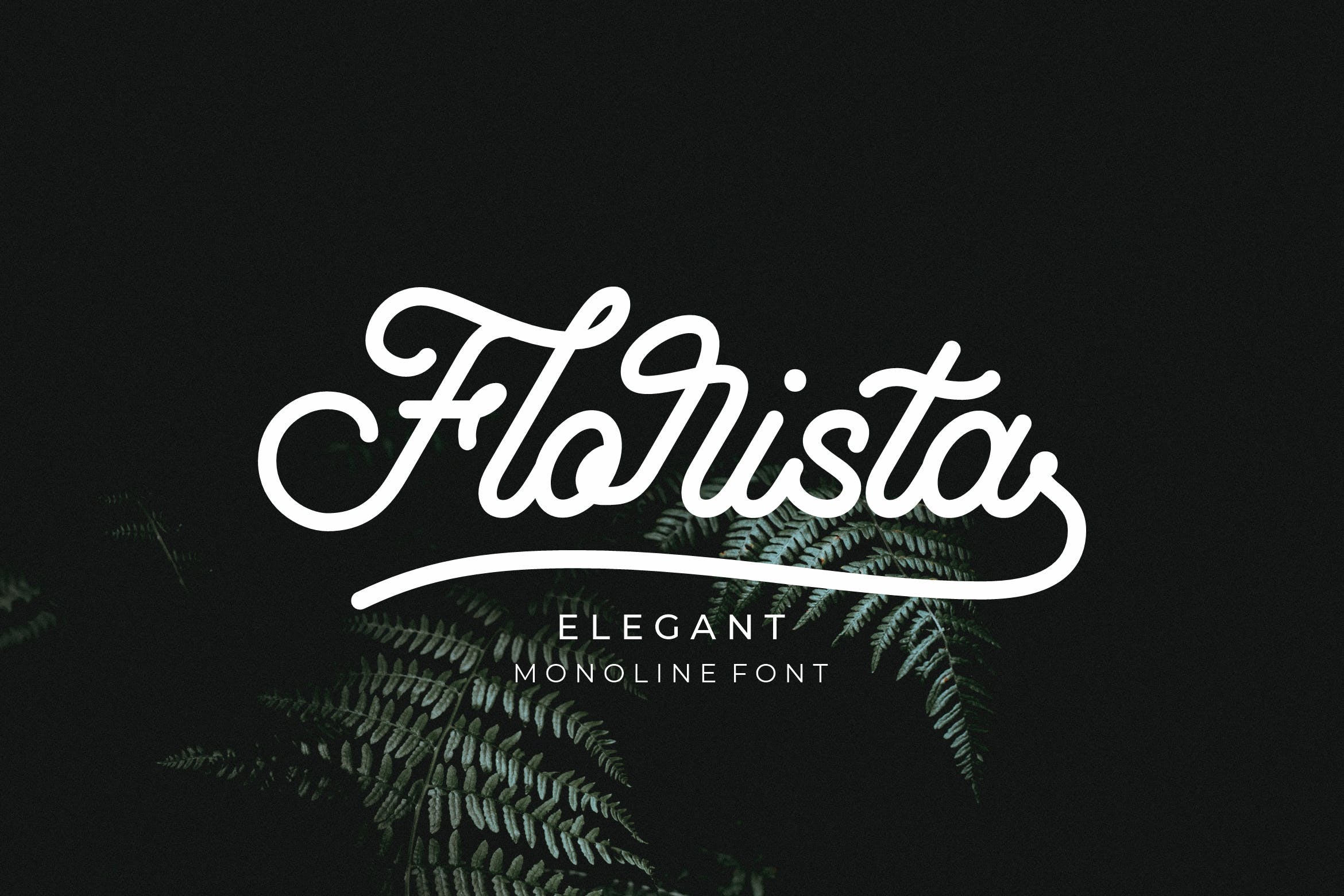 优雅圆滑可爱风格的monoline字体下载 Florista插图