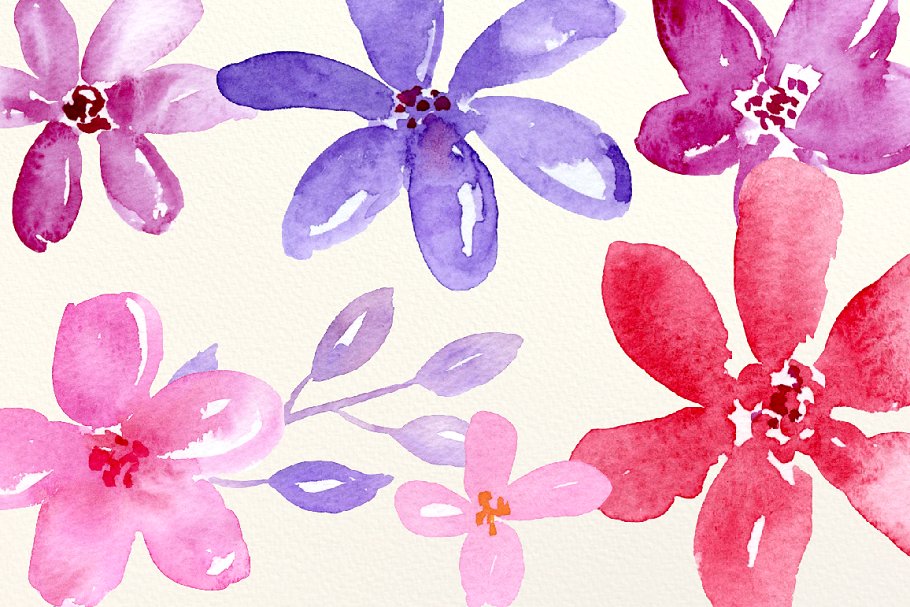 紫色主题雏菊花卉＆装饰元素集合 Watercolor Cheerful Daisy Purple插图2