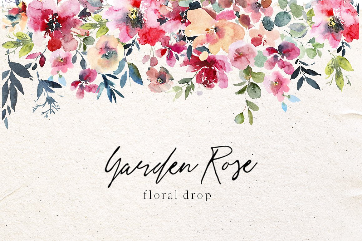 花园玫瑰水彩花卉套装 Garden Rose Watercolor Floral Kit插图8