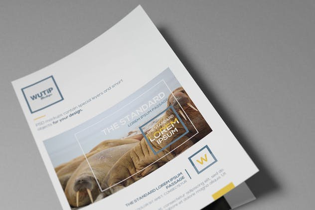 双折页A4规格企业品牌宣传册样机 Bi-Fold A4 Brochure Mockups插图(9)
