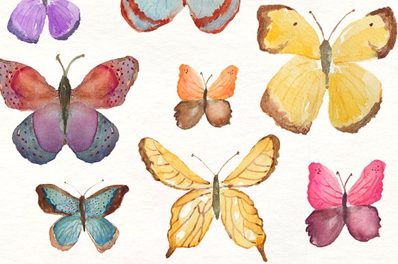 多种蝴蝶水彩剪贴画 Watercolor Butterflies插图1