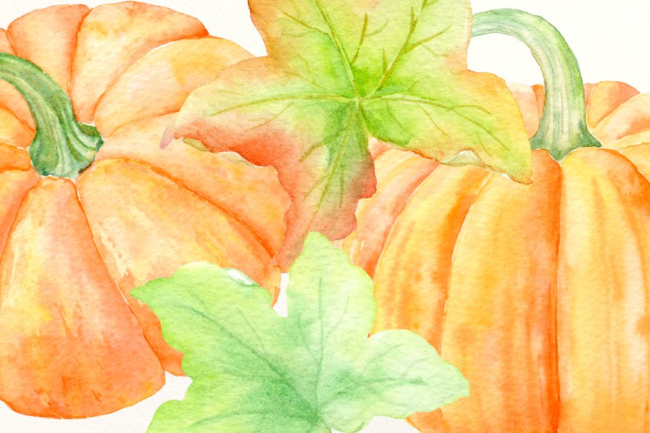 南瓜（藤、叶子&花）水彩剪贴画、纹理 Watercolour Clipart Pumpkins插图(2)