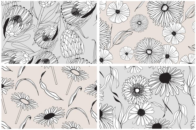 创意手绘花卉插画图案纹理素材 Graphic Flowers Patterns & Elements插图5