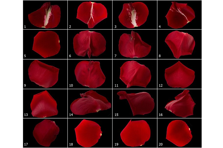 5K高清分辨率红色玫瑰花瓣叠层背景 5K Red Rose Petals Overlays插图6