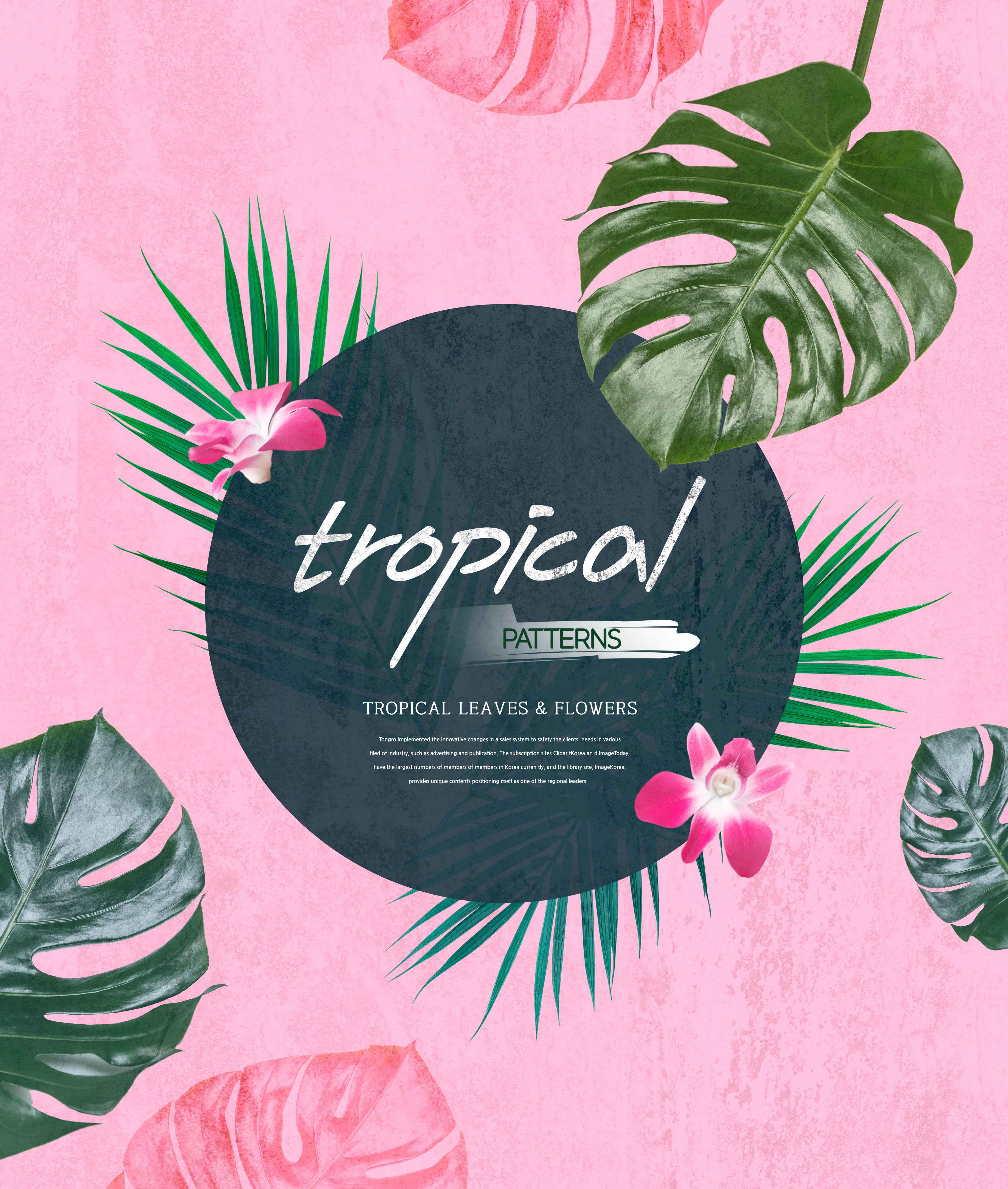 热带主题叶子&花卉图案海报设计素材插图(4)