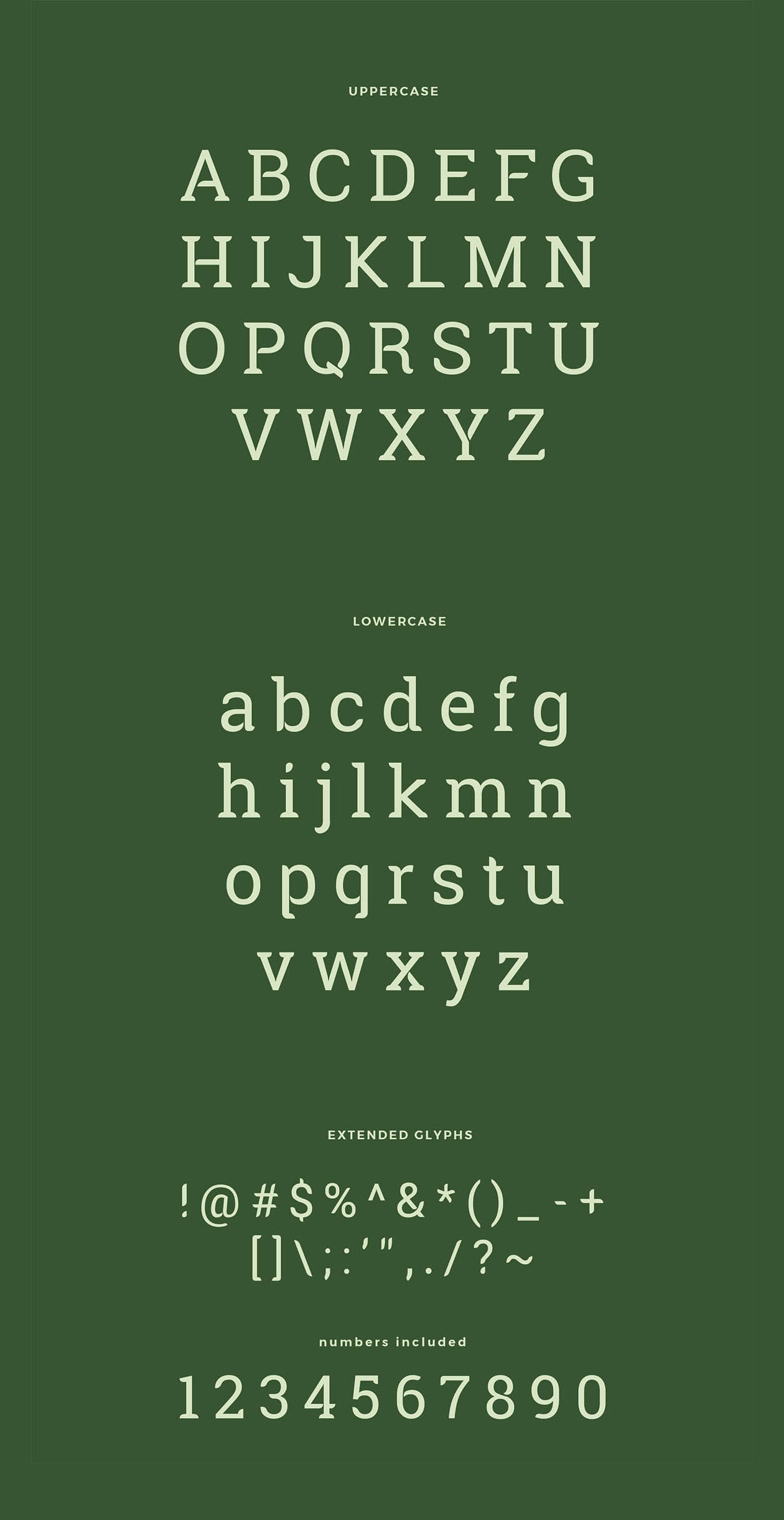 带有独特圆角英文衬线字体 Robika Serif Typeface插图(1)