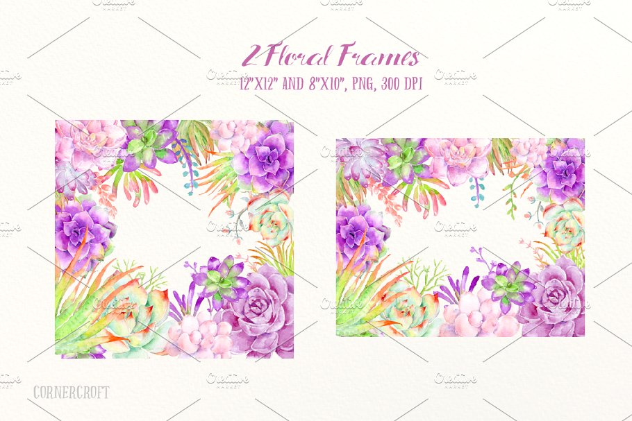 明亮的粉紫色多肉植物插画&花卉框架 Watercolor Succulent Plant插图2