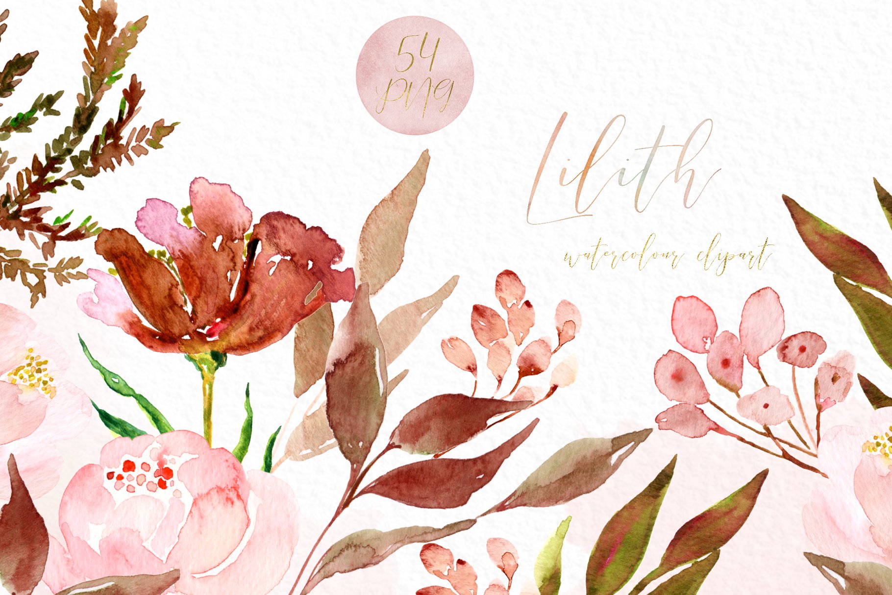 粉色水彩花卉剪贴画 Lilith. Pink watercolour flowers插图(6)