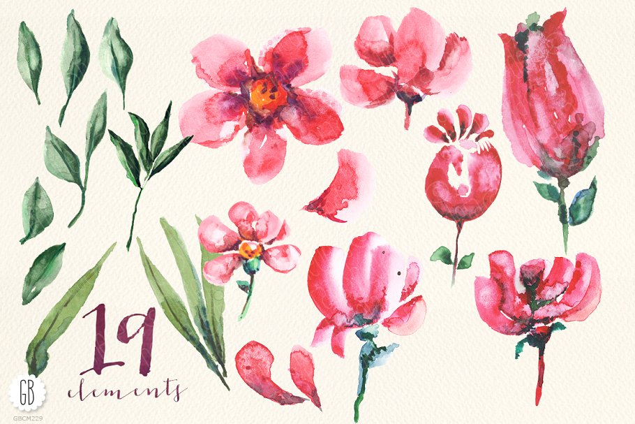 半透明红色花卉水彩剪贴画 Aquarelle watercolor red flowers插图2