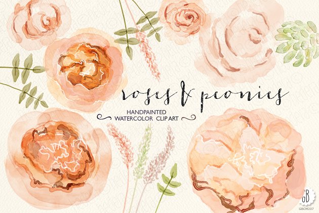 牡丹&朱丽叶玫瑰水彩画设计素材 Watercolor peonies, juliet roses插图
