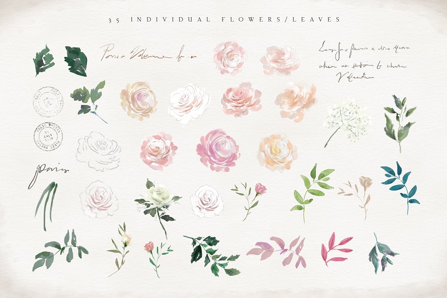 复古水彩玫瑰花卉剪贴画 Vintage Rose – Flower Clipart Set插图(7)
