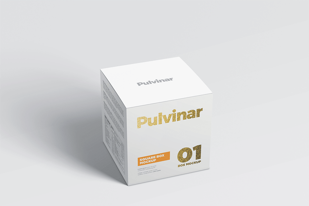 化妆品/药物纸盒包装样机模板 Box / Packaging MockUp – Square插图(2)