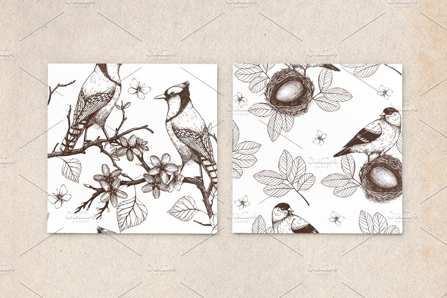 春季手绘小鸟自然元素 Hand Drawn Spring Birds Patterns插图(5)