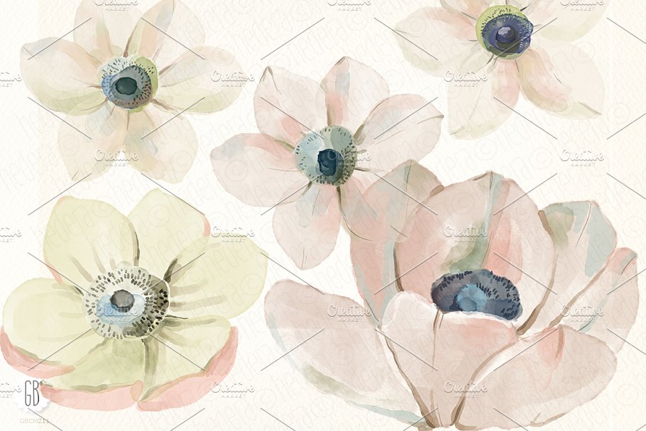 银莲花水彩剪贴画 Watercolor anemones插图1