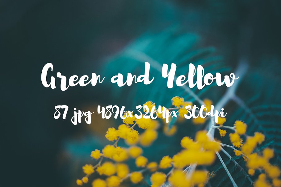 绿色和黄色植物花卉摄影照片集 Green and yellow photo pack插图2