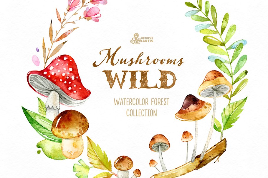 野生蘑菇森林元素素材集 Wild Mushrooms. Forest Collection插图(3)