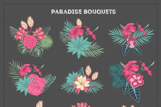 热带花卉和花束手绘插画素材 Paradise Flowers插图2