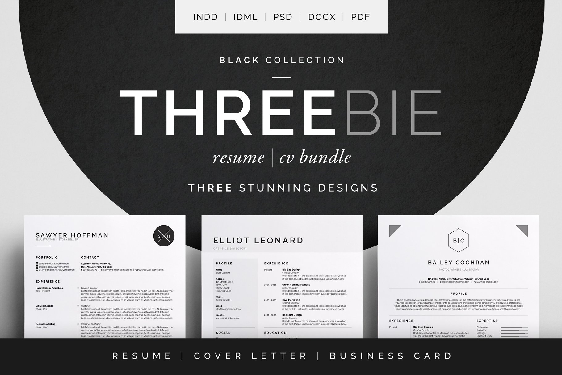 经典实用多风格简历模板合集 Threebie Resume/CV Bundle 4插图