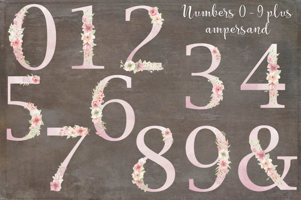 粉色水彩花卉字母和数字设计艺术字剪贴画PNG素材 Pink Watercolor Floral Letters and Numbers插图(6)