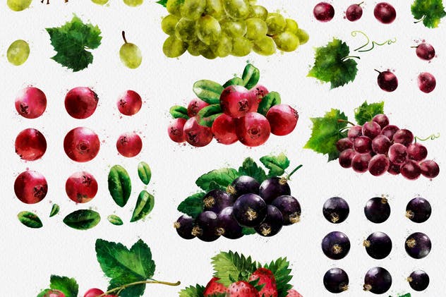 水彩水果&蔬菜插画合集 Watercolor Fruits And Vegetables插图9