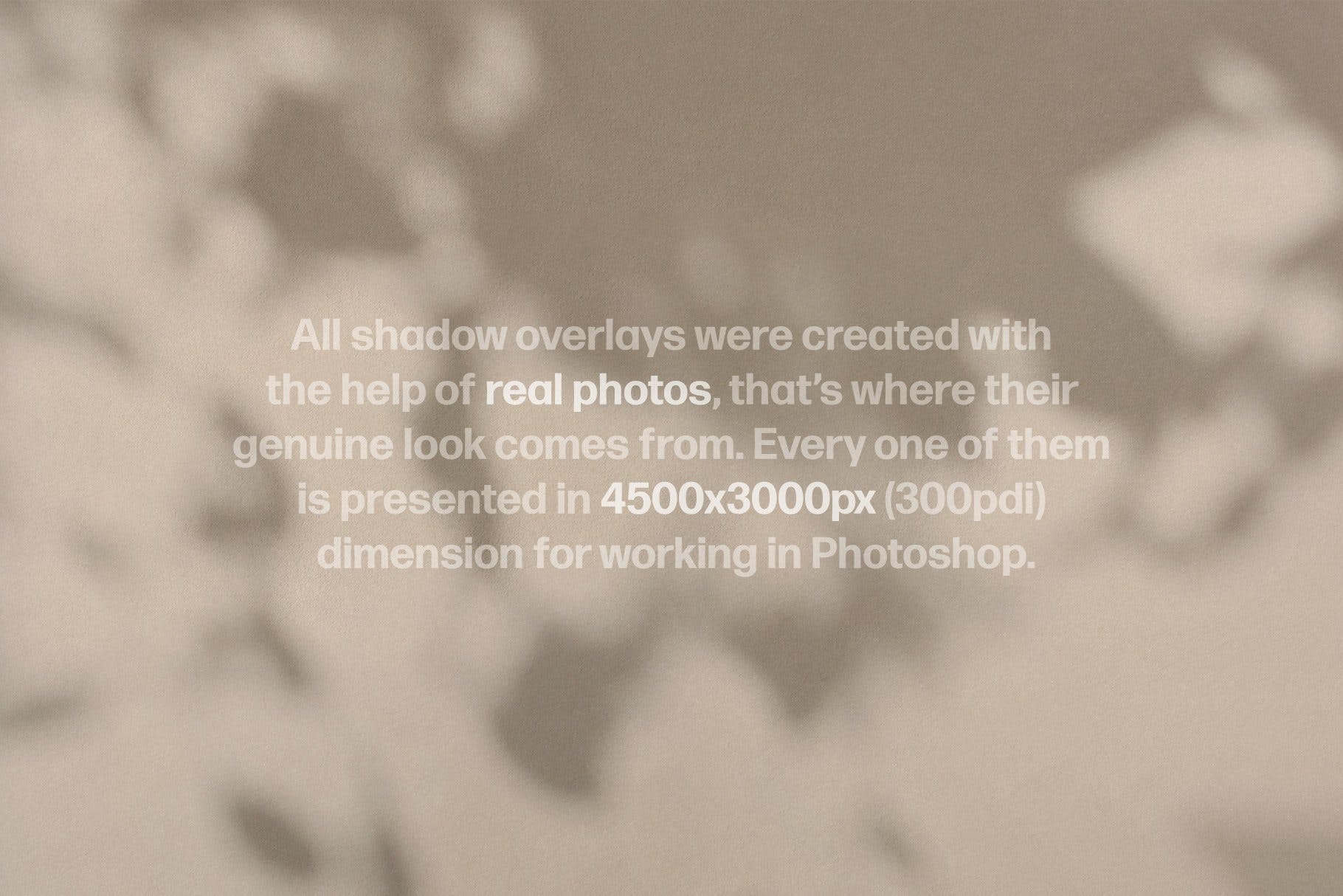 高清物体阴影背景图片素材包 Shadow Play Photo Overlays插图4