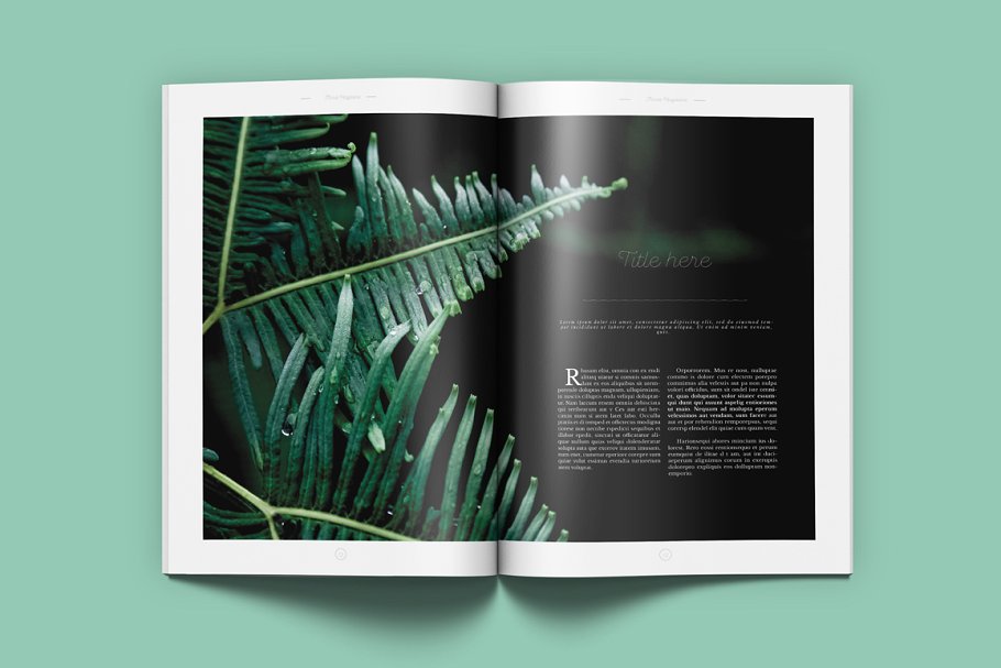 极简主义盆栽景观通用杂志模板 Floral Magazine插图(9)