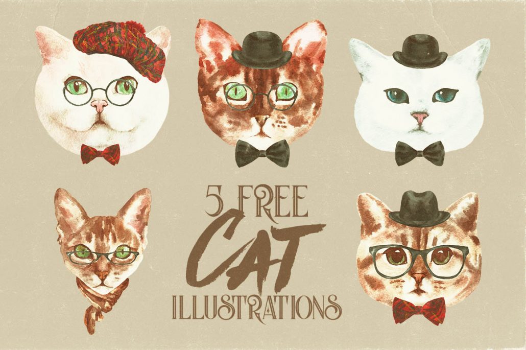 一组可爱的手绘猫猫脸插图 Free Cat Characters插图
